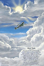 Aviation Posters