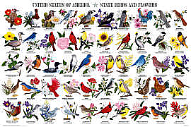 State Birds and Flowers