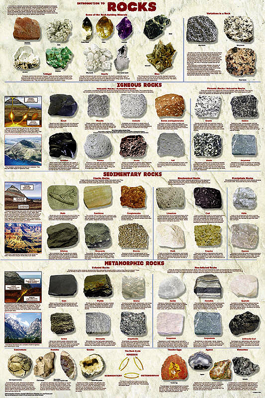 Introduction to Rocks Poster by Feenixx Publishing